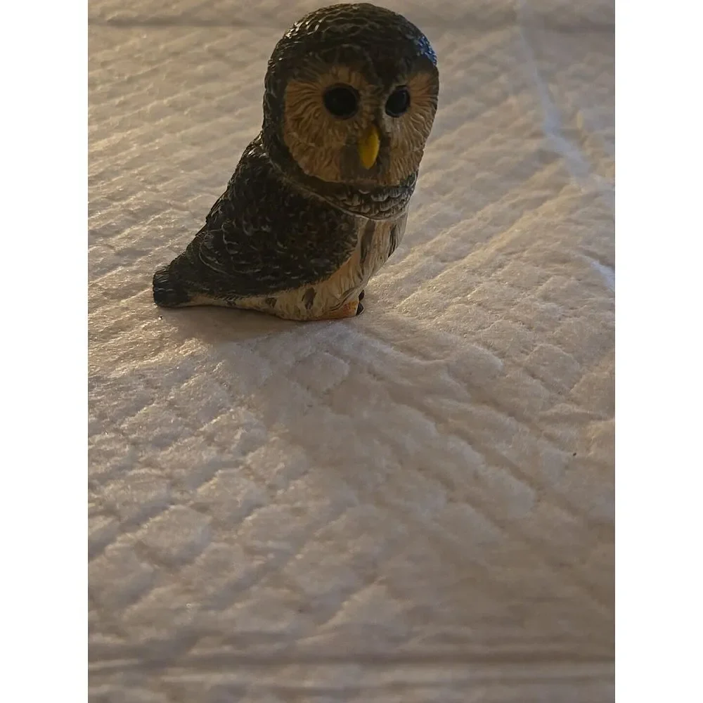 Pot‎ Belly Owls